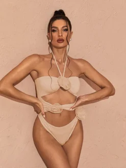 Addy Halterneck Cutout Embellished Swimsuit In Pink