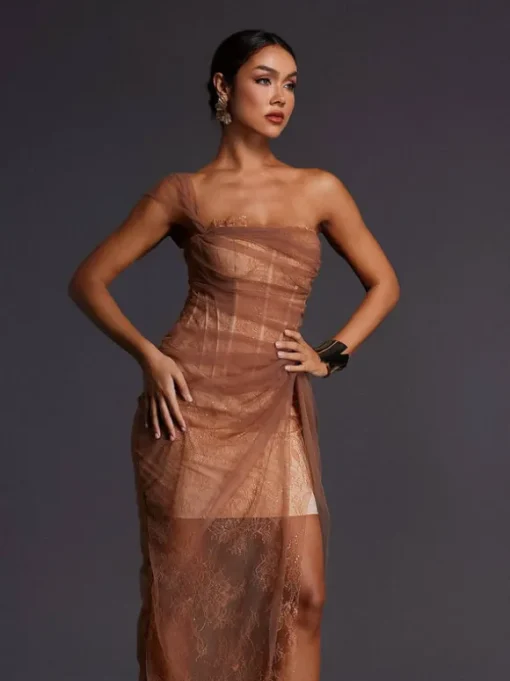 Adler One Shoulder Lace Mesh Midi Dress
