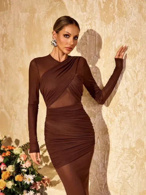 Alkas Long Sleeve Ruched Mesh Maxi Dress