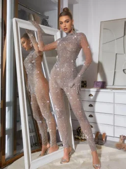 Ally Rhinestone Mesh Jumpsuit In Silver