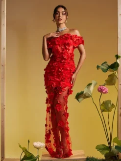 Azizi Off Shoulder Flower Mesh Maxi Dress