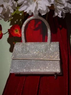 Caleo Crystal Clutch In Silver