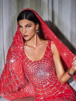 Calyx Cobweb Sequin Veil In Red
