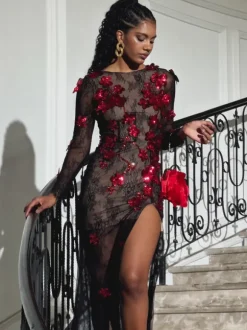 Celleen Long Sleeve Flower Lace Maxi Dress