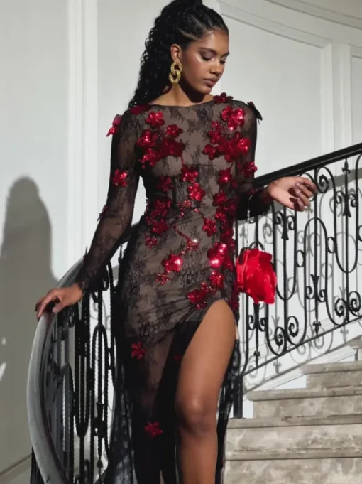 Celleen Long Sleeve Flower Lace Maxi Dress