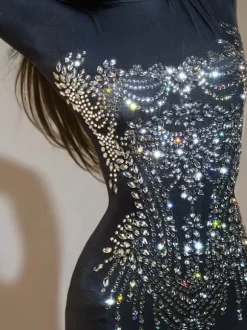 Chesten Long Sleeve Rhinestone Embellished Jumpsuit