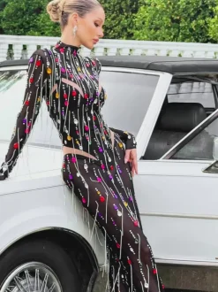 Corvina Fringe Embellished Mesh Maxi Dress