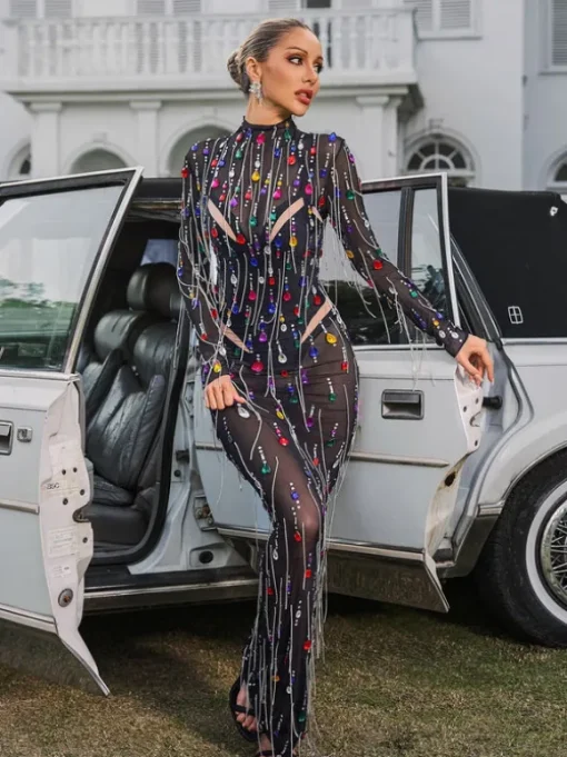 Corvina Fringe Embellished Mesh Maxi Dress