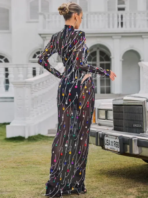Corvina Fringe Embellished Mesh Maxi Dress