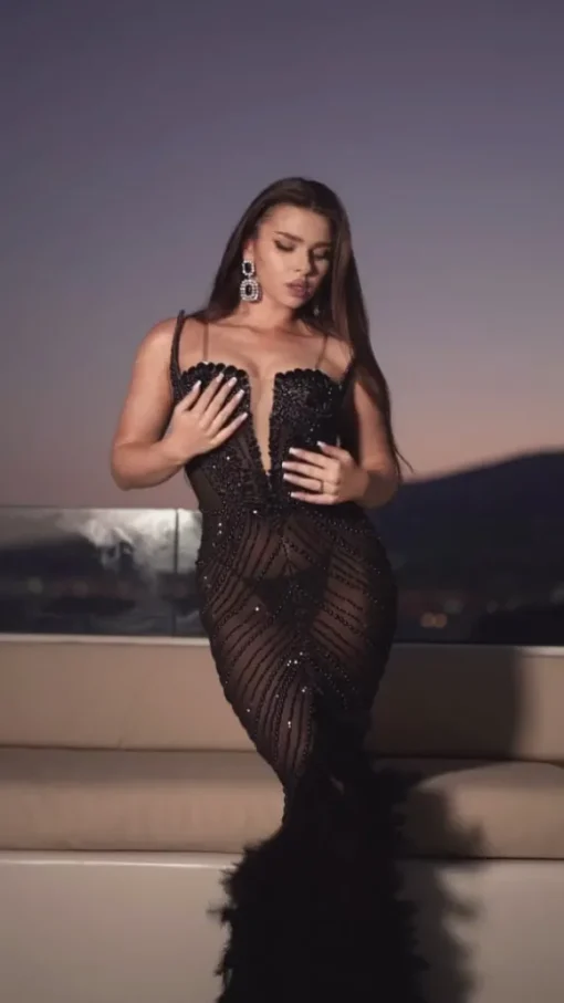 Daire Rhinestone Feather Mermaid Mesh Dress