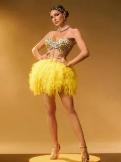 Dakan Strapless Corset Tulle Skirt Set