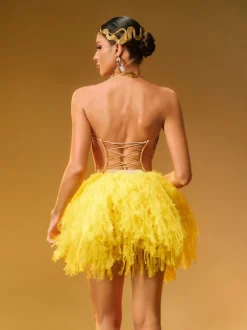 Dakan Strapless Corset Tulle Skirt Set