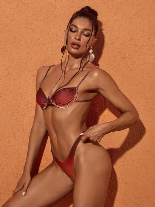 Eva Ombre Ombre Bikini Two Piece Set In Coffee