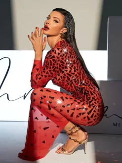 Guthrie Long Sleeve Acrylic Mesh Maxi Dress