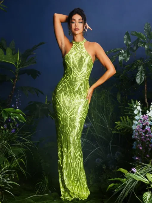 Lajita Halterncke Sequin Maxi Dress