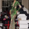 Livine Acrylic Embellished Mesh Maxi Dress