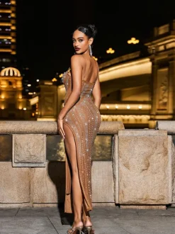 Reinel Pearl Embellished Mesh Dress In Brown