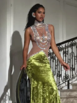 Shelyn Rhinestone Velvet Mermaid Maxi Dress