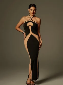 Thaliacea Halterneck Maxi Dress