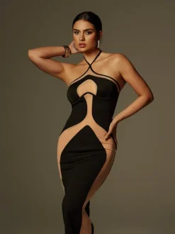 Thaliacea Halterneck Maxi Dress