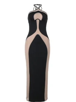 Thaliacea Halterneck Maxi Dress