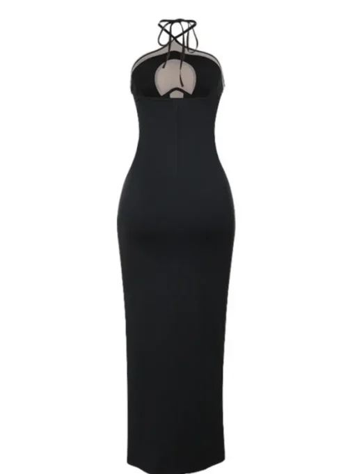 Thaliacea Halterneck Maxi Dress